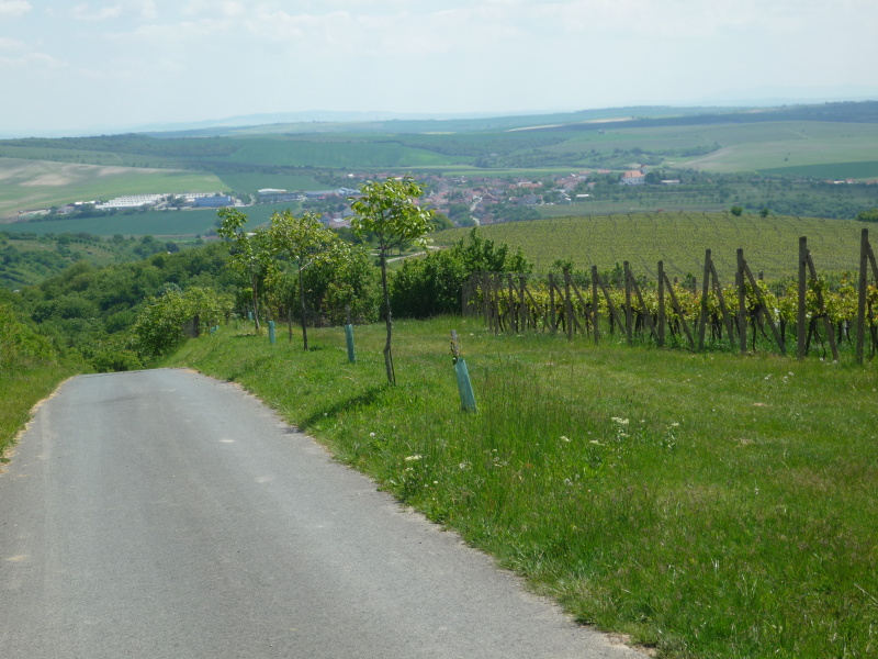 Obrázek 3