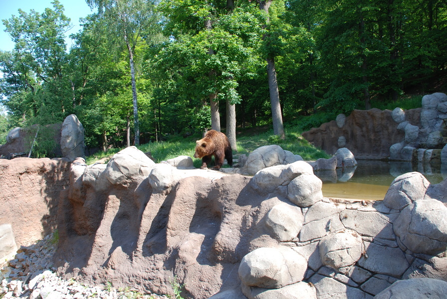 Obrázek 3