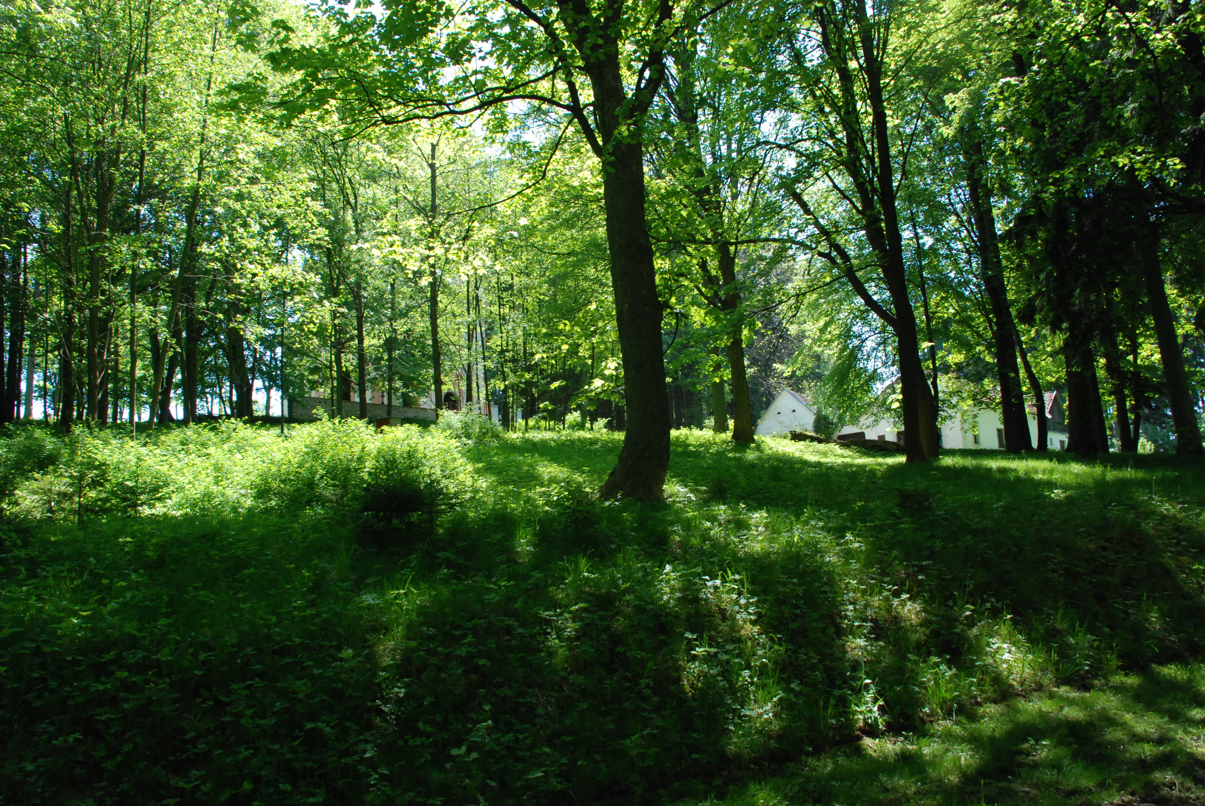 Obrázek 4