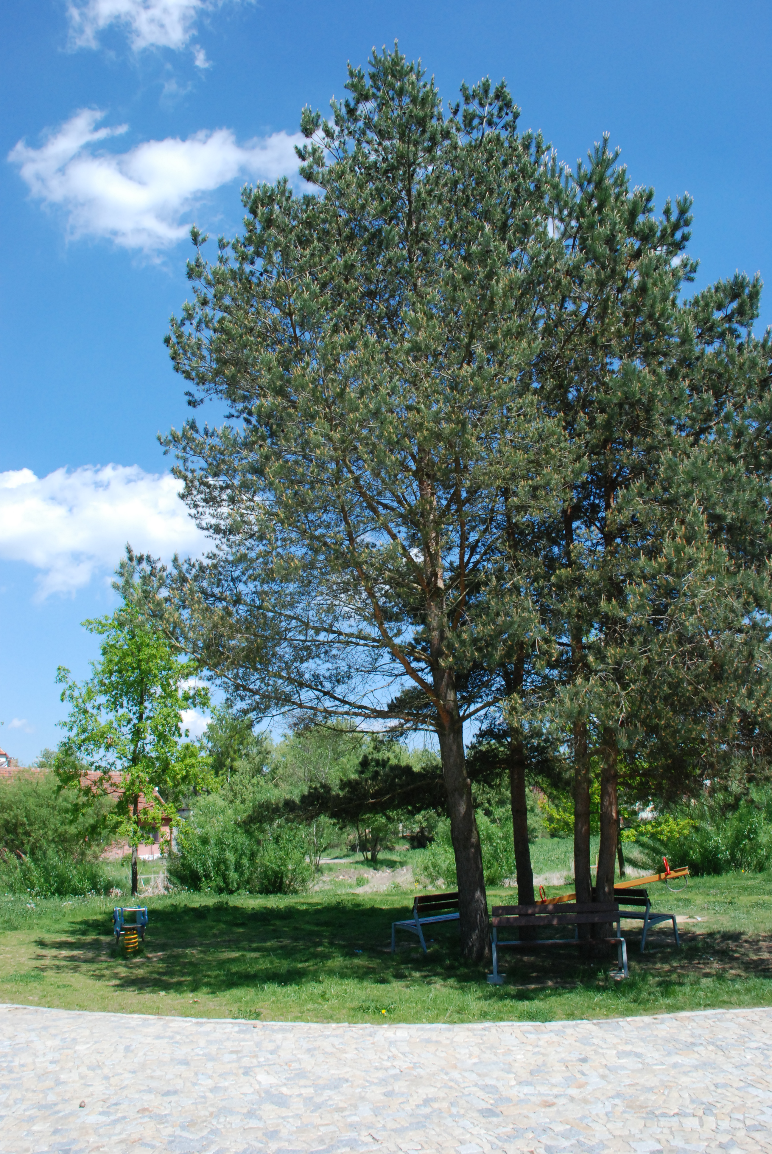 Obrázek 4