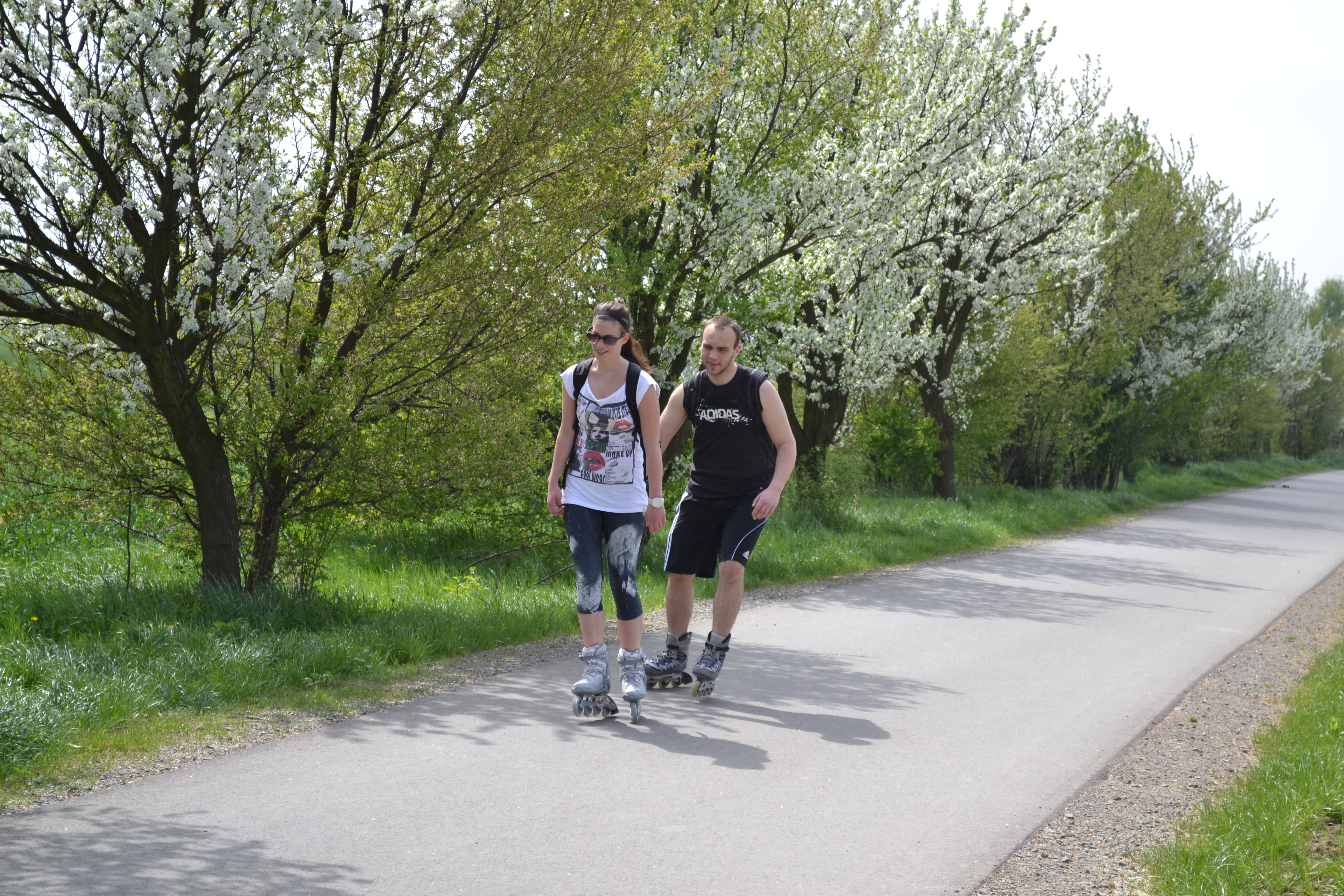 Inline stezky Olomouc - Hejčínské louky