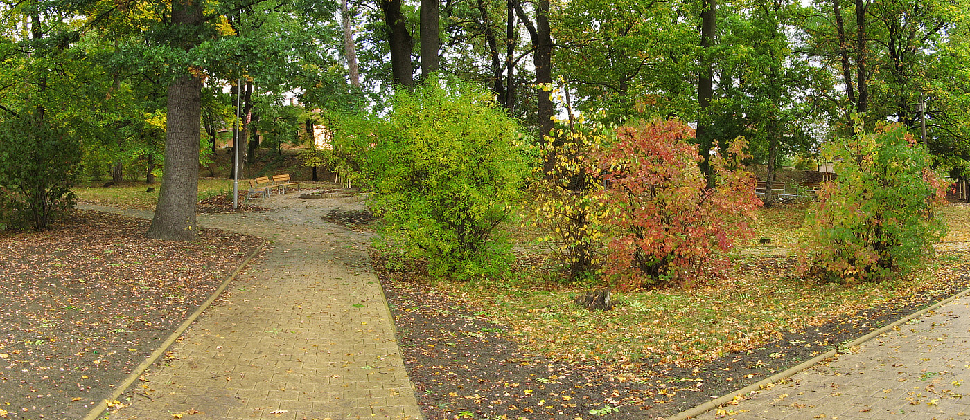 Obrázek 5