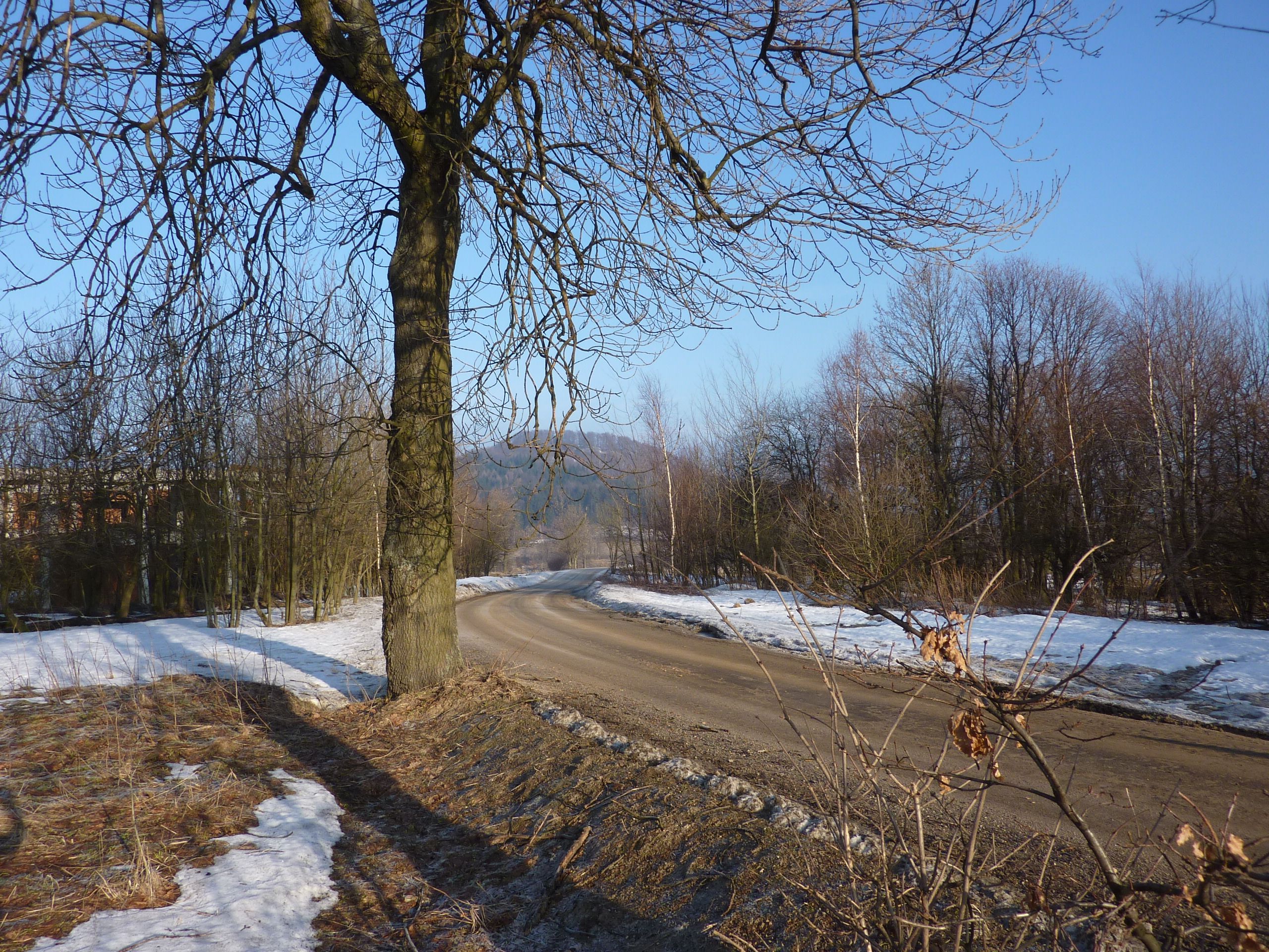 Obrázek 5