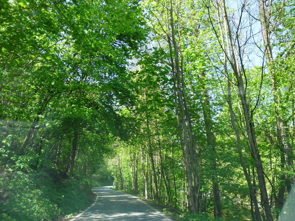 Obrázek 4