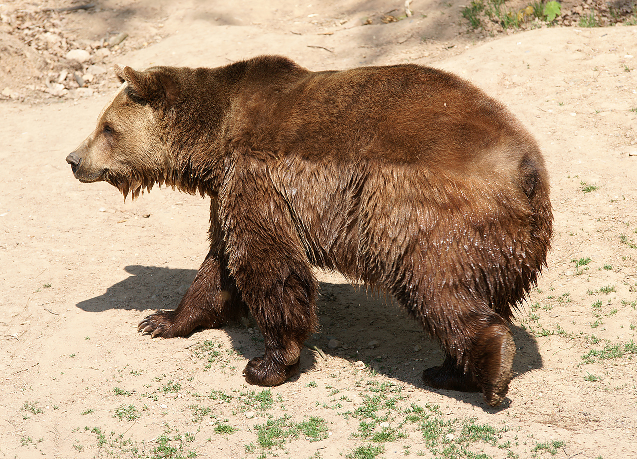 Obrázek 2
