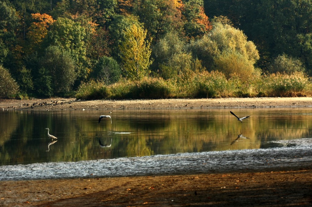 Obrázek 2
