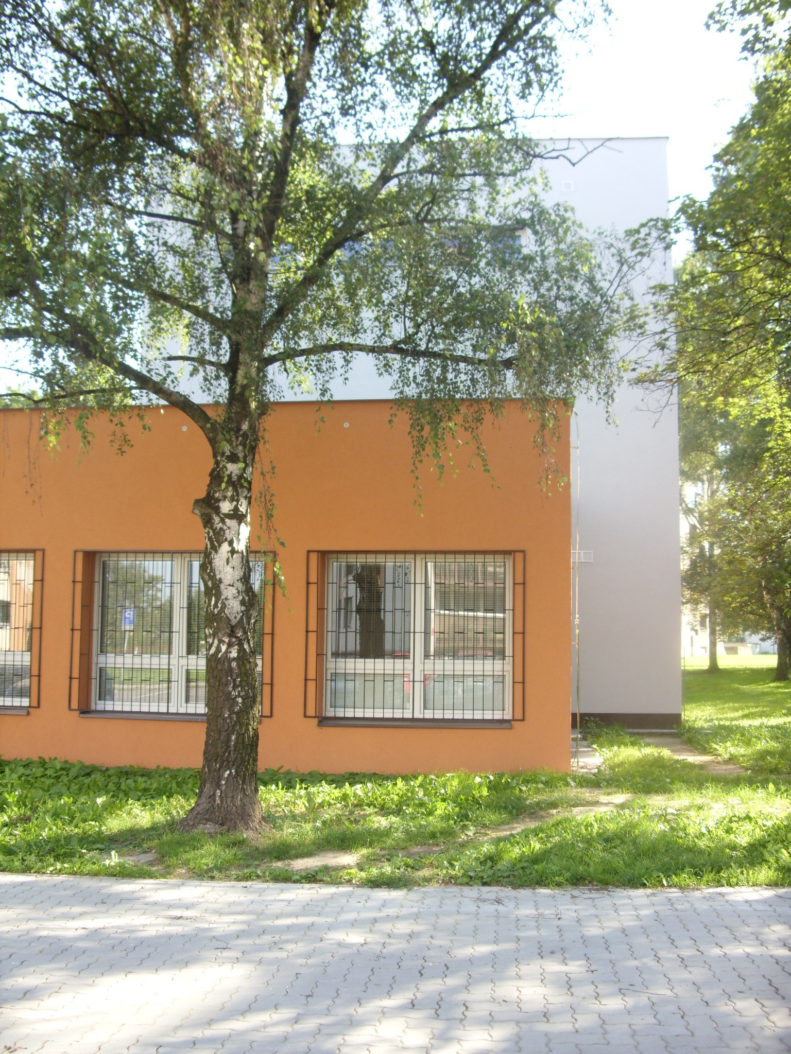 Obrázek 5