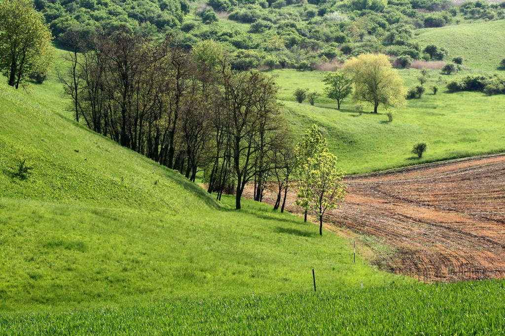 Natura 2000 - implementace v Jihomoravském kraji, 2. etapa