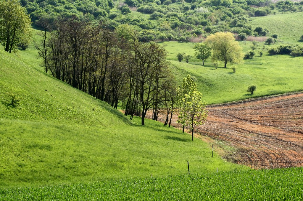 Natura 2000 - označení hranic ptačích oblastí v Jihomoravském kraji