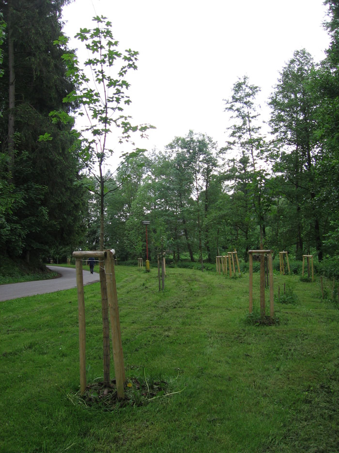 Obrázek 2