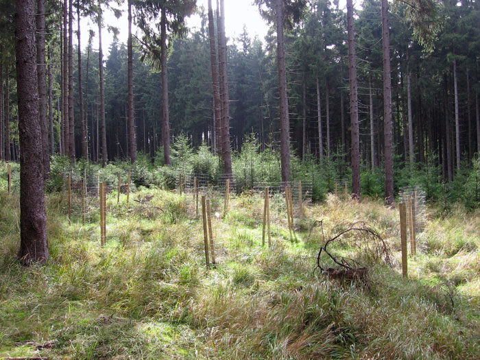 Obrázek 2
