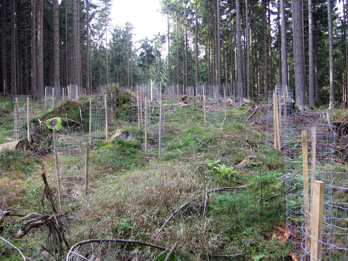 Obrázek 3