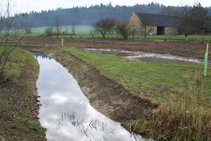 Revitalizace Hostákovského potoka