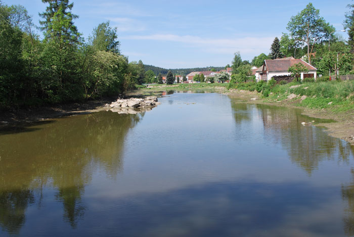 Revitalizace rybníka p.č. 54/1 na k.ú. Čenkov u Třešti