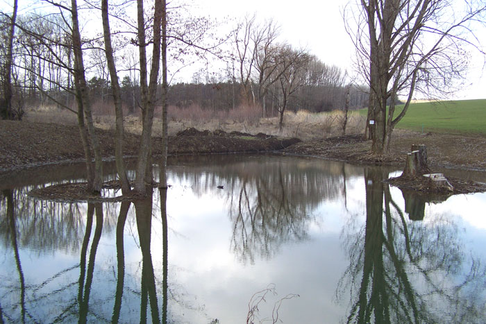 Obrázek 4