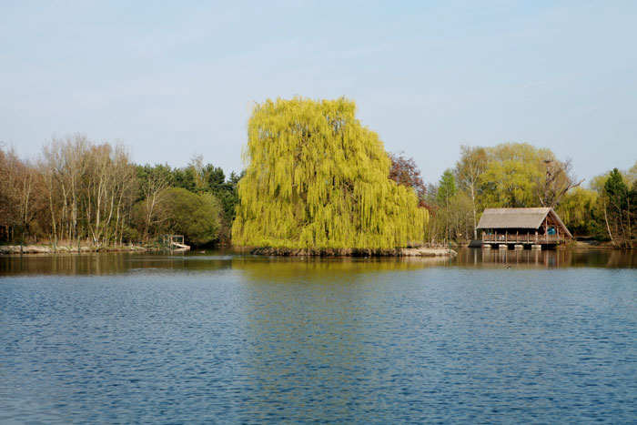 Obrázek 2