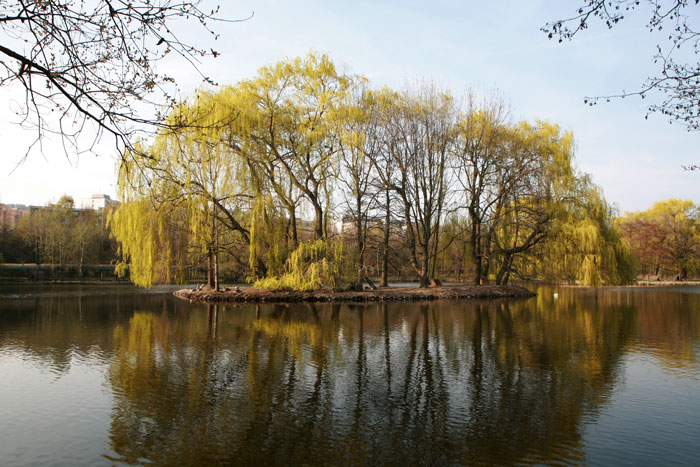 Obrázek 3