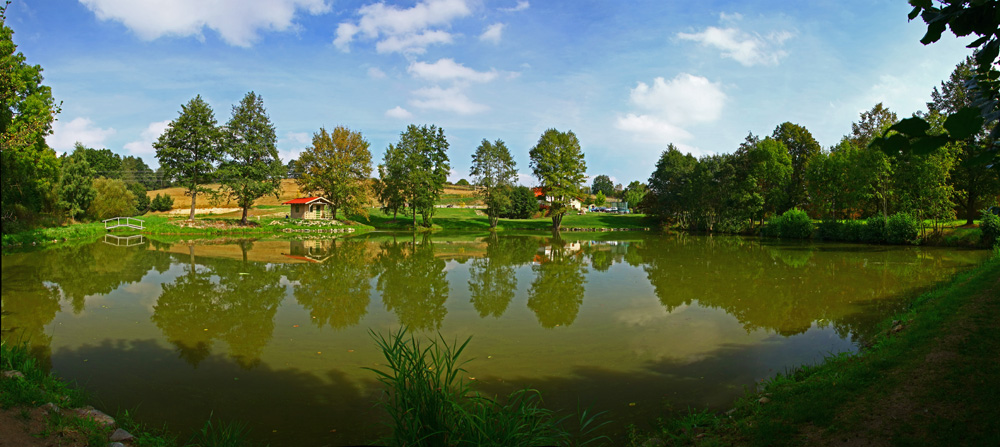 Revitalizace rybnika v k.ú. Štiřín