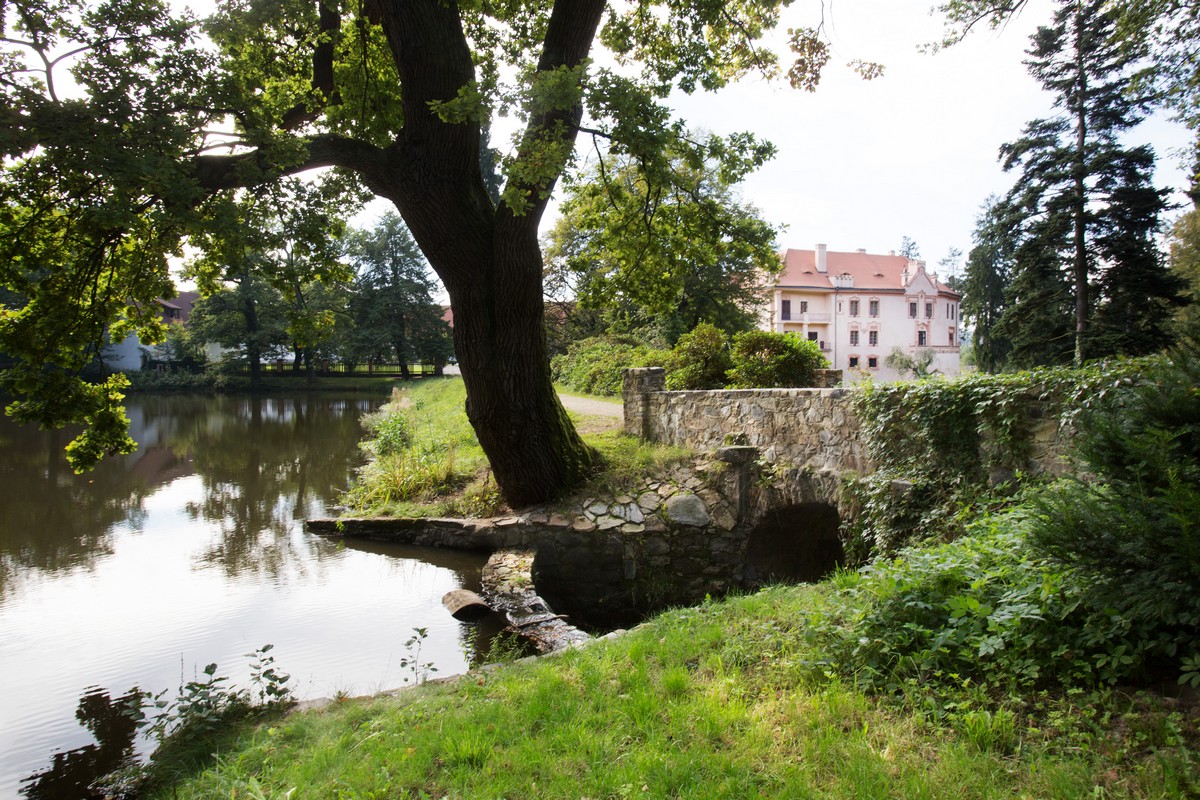 Obnova přírodních prvků zámeckého parku ve Vrchotových Janovicích - Vodní nádrž Za vraty
