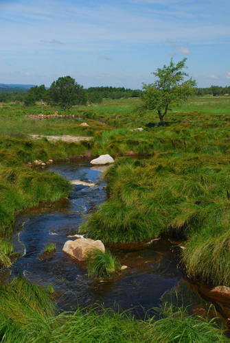 Obrázek 2