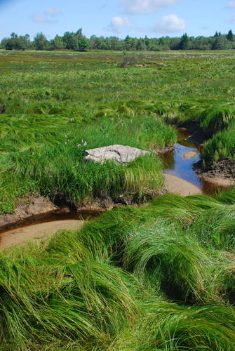 Obrázek 3