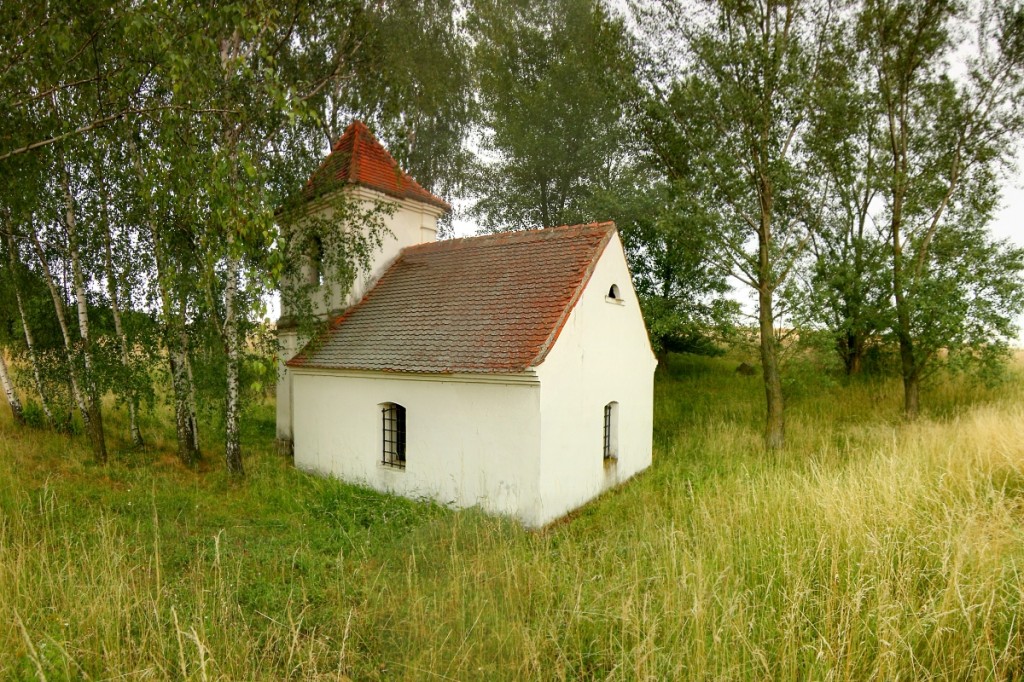 Vybrané prvky ÚSES na k.ú. Rouchovany, Heřmanice a Lipňany, Biokoridor K56-58 Ve Žlebech