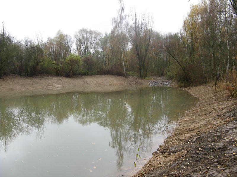 Úprava hrází Kylnarova rybníka a obnovení rybníčku v k.ú. Albrechtičky