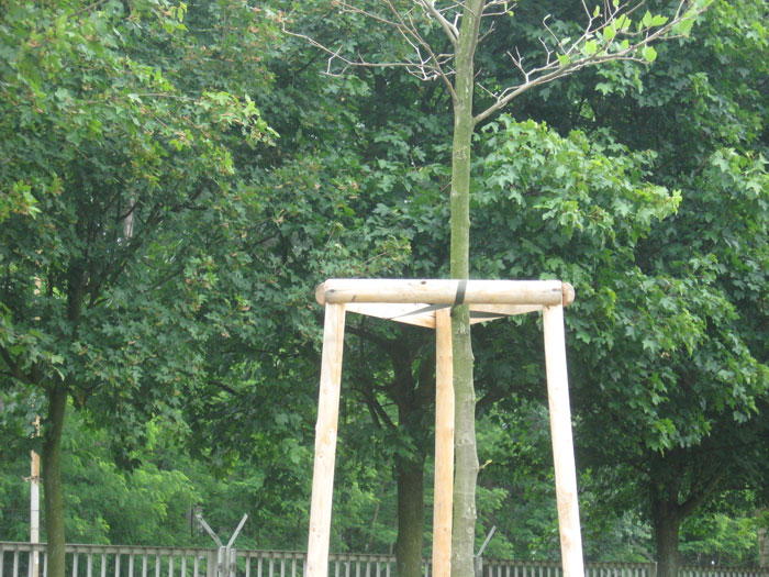 Obrázek 5