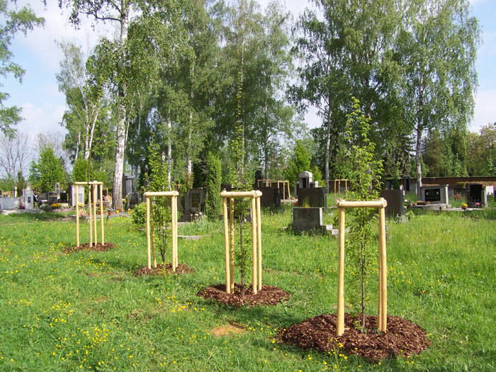 Obrázek 2