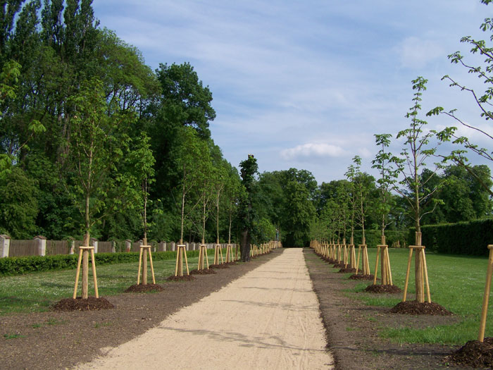 Obrázek 1