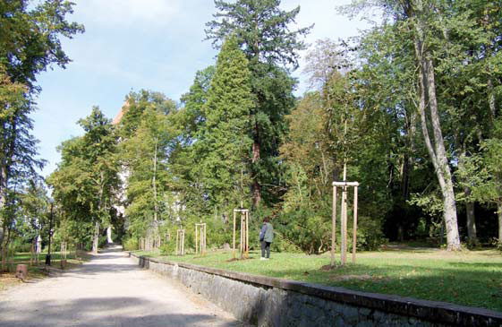 Obrázek 1