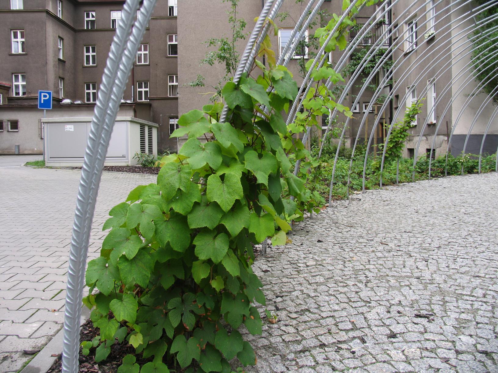 Obrázek 2