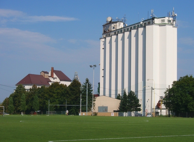 Obnova výsadby zeleně v areálu stadionu FC Hlučín - I. etapa