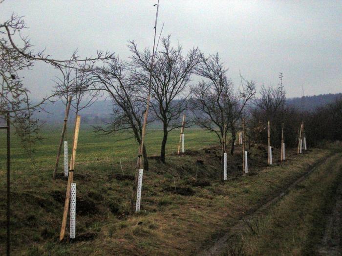 Obrázek 2
