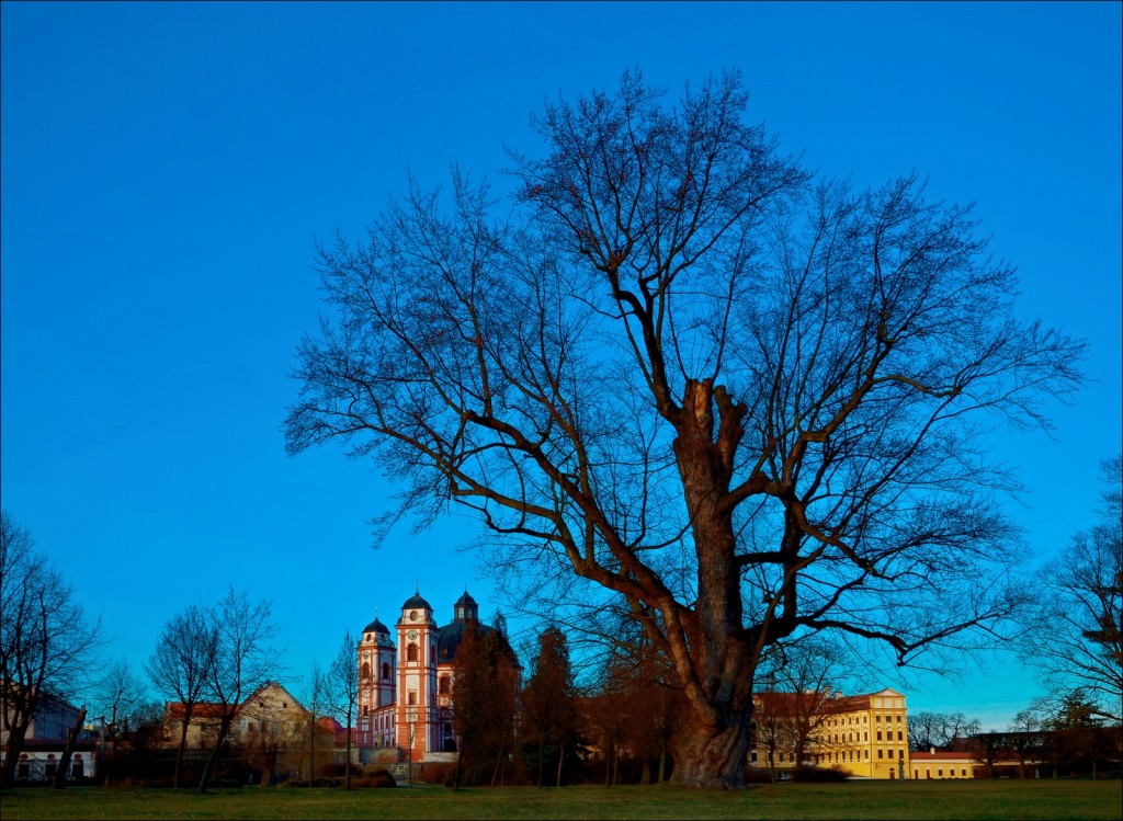 Revitalizace zeleně v Jaroměřicích nad Rokytnou