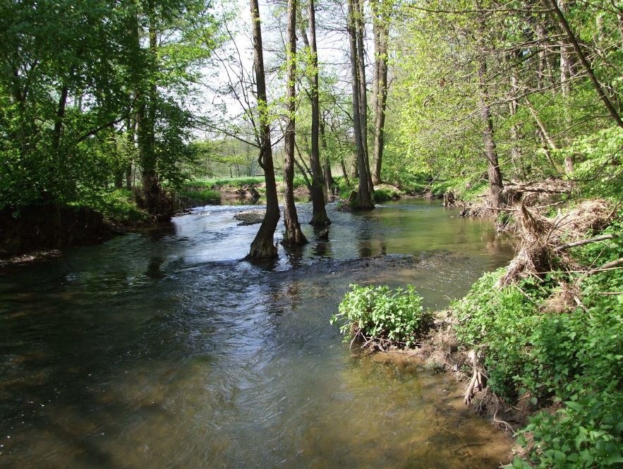 REVITALIZACE ÚDOLNÍ NIVY TŘEBŮVKY V LOKALITĚ KNÍŽECÍ LOUKA