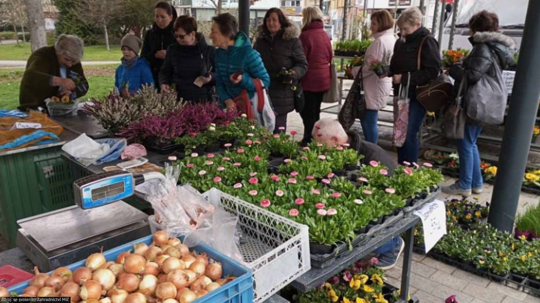 Kde fondy EU pomáhají: Místo kompostu lahodné křížaly. Zahradnictví rozšířilo sortiment o sušené ovo