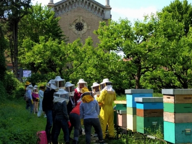 Zvyšování povědomí v antropocénu: Ochrana včelstva znamená ochranu nás samotných
