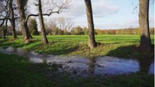 Watercourse restoration and flood control measures
