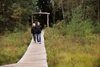 Renovace naučných stezek Soumarské rašeliniště a Chalupská slať v Národním parku Šumava