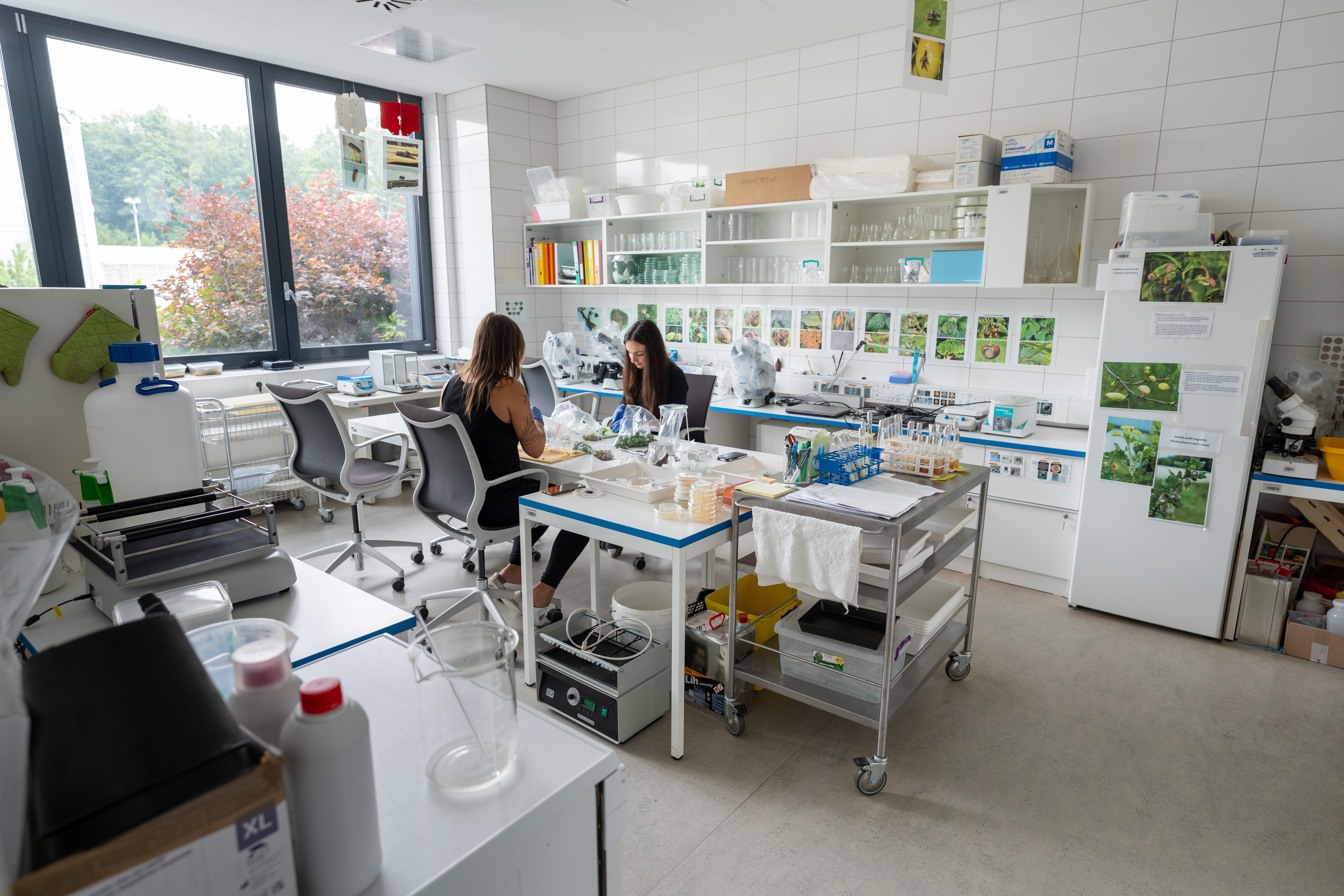 Ovocnářský výzkumný institut