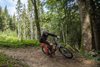 Singletrack Glacensis