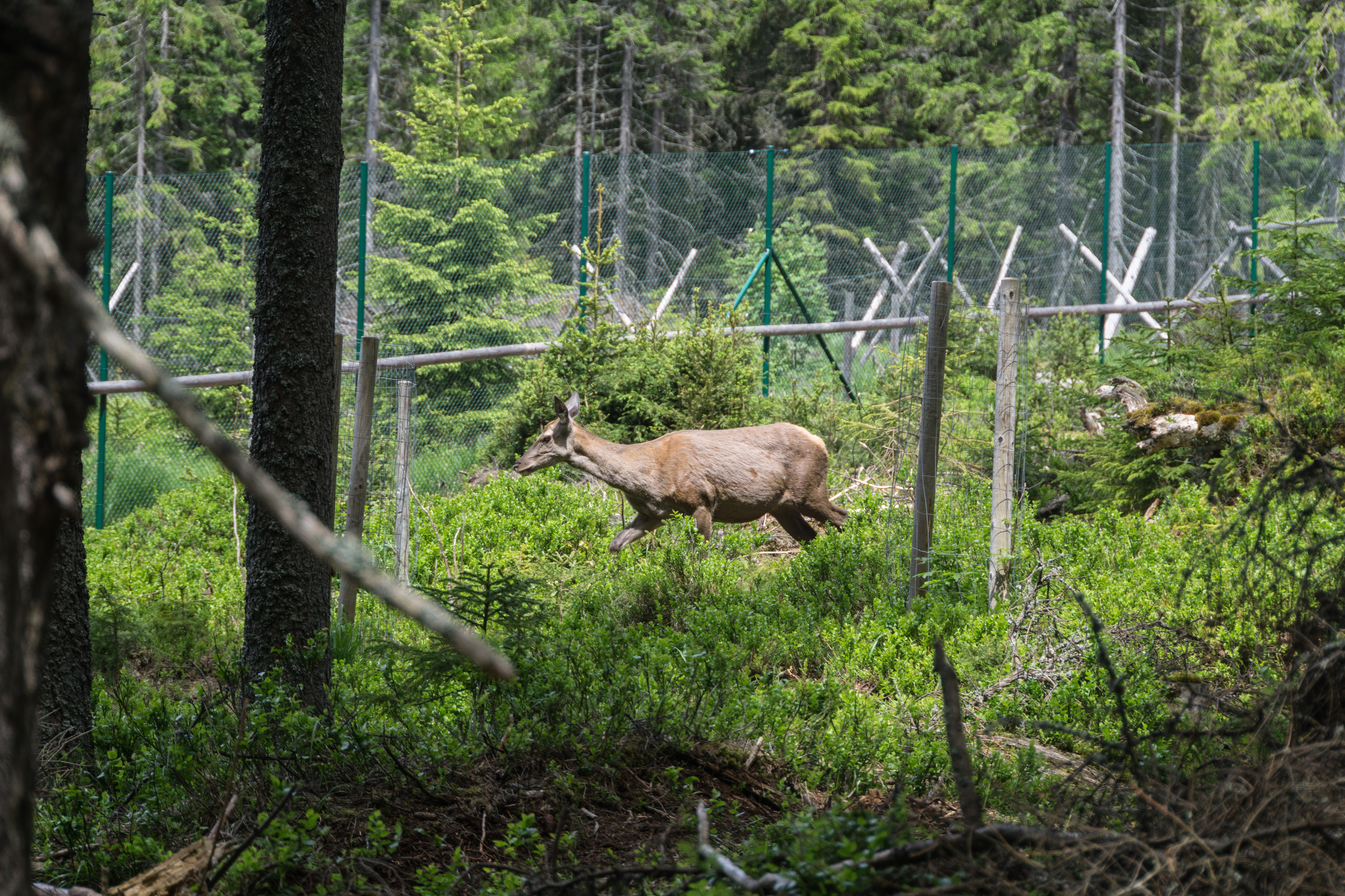 Návštěvnické centrum Kvilda