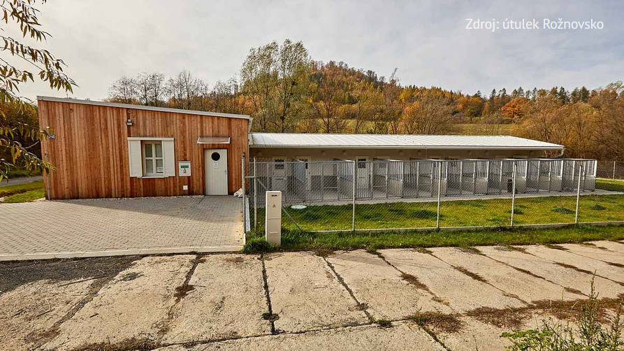 Kde fondy EU pomáhají: Psí útulek Rožnovsko funguje jako sociální firma. Pomáhá zvířatům i lidem.