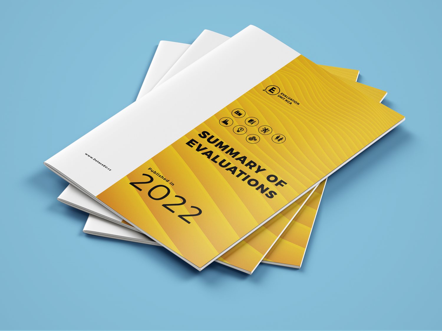 Summary of the 2022 evaluations