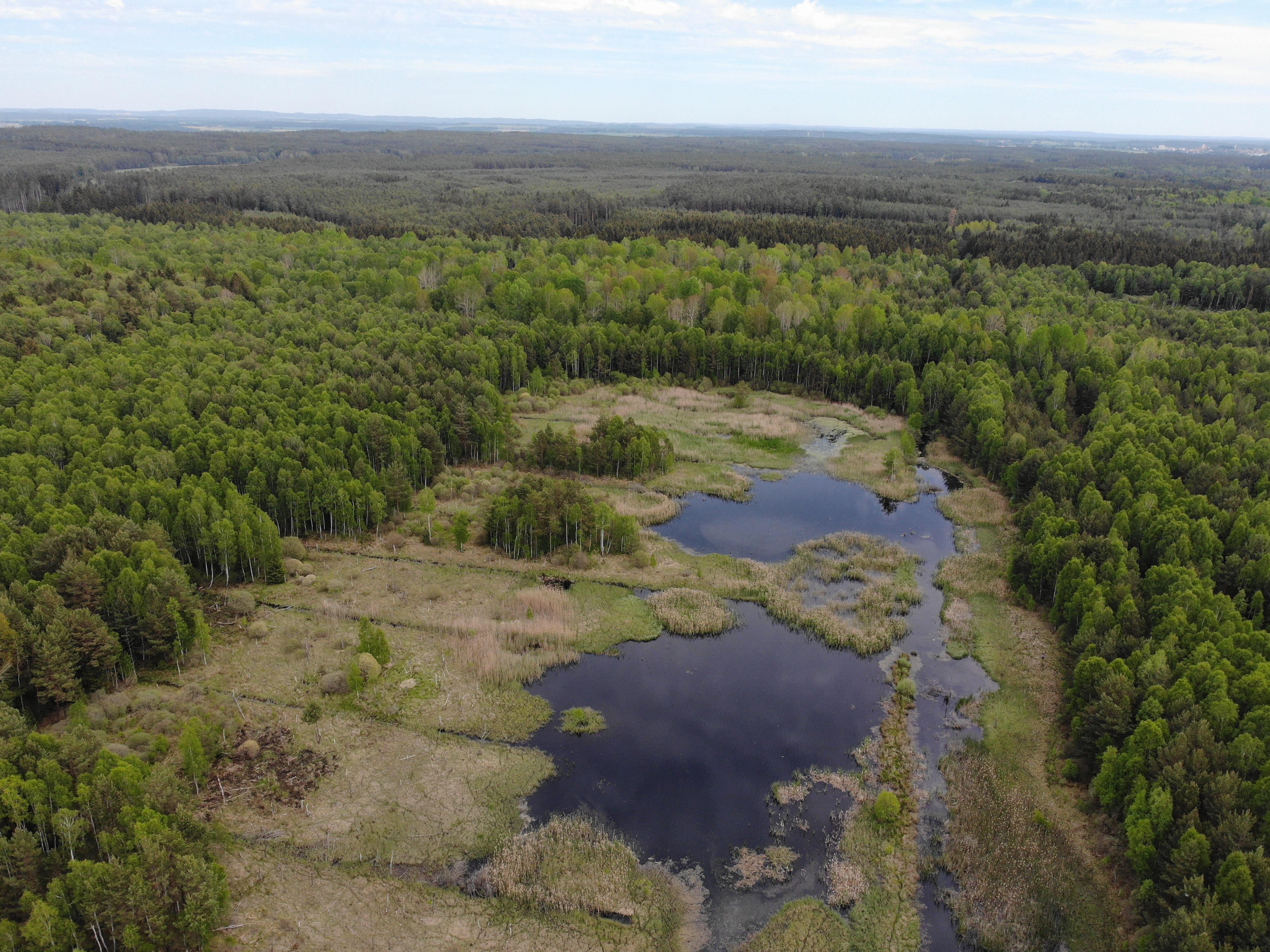 Revitalizace Borkovických blat