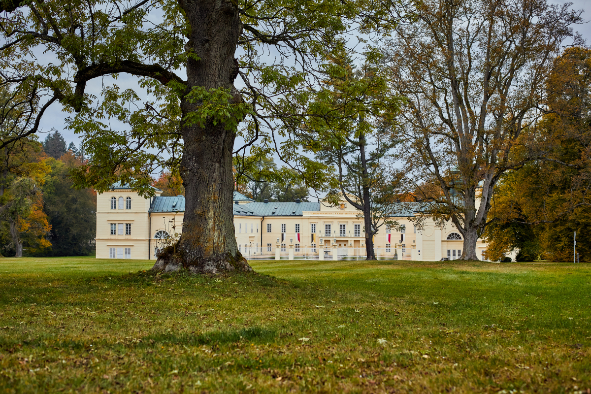 Zámecký park Kynžvart - regenerace historického parku