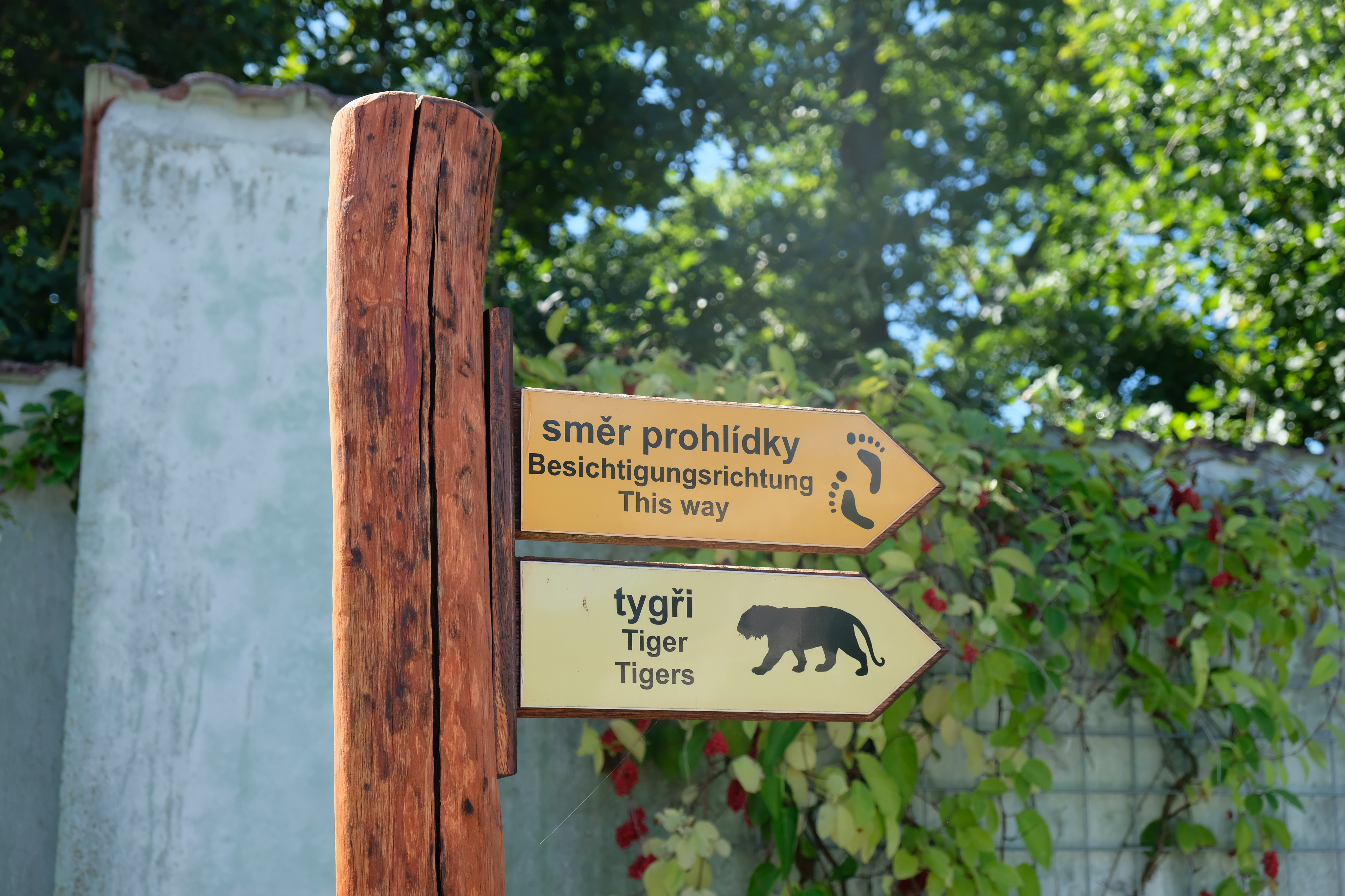 ZOO Ohrada - nová setkání 3. etapa